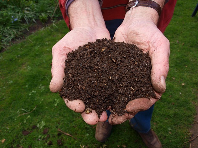 Composting at Home