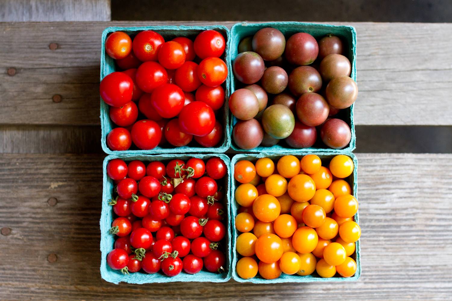 Picture of 4 quarts of tomatoes, each a different size and color.