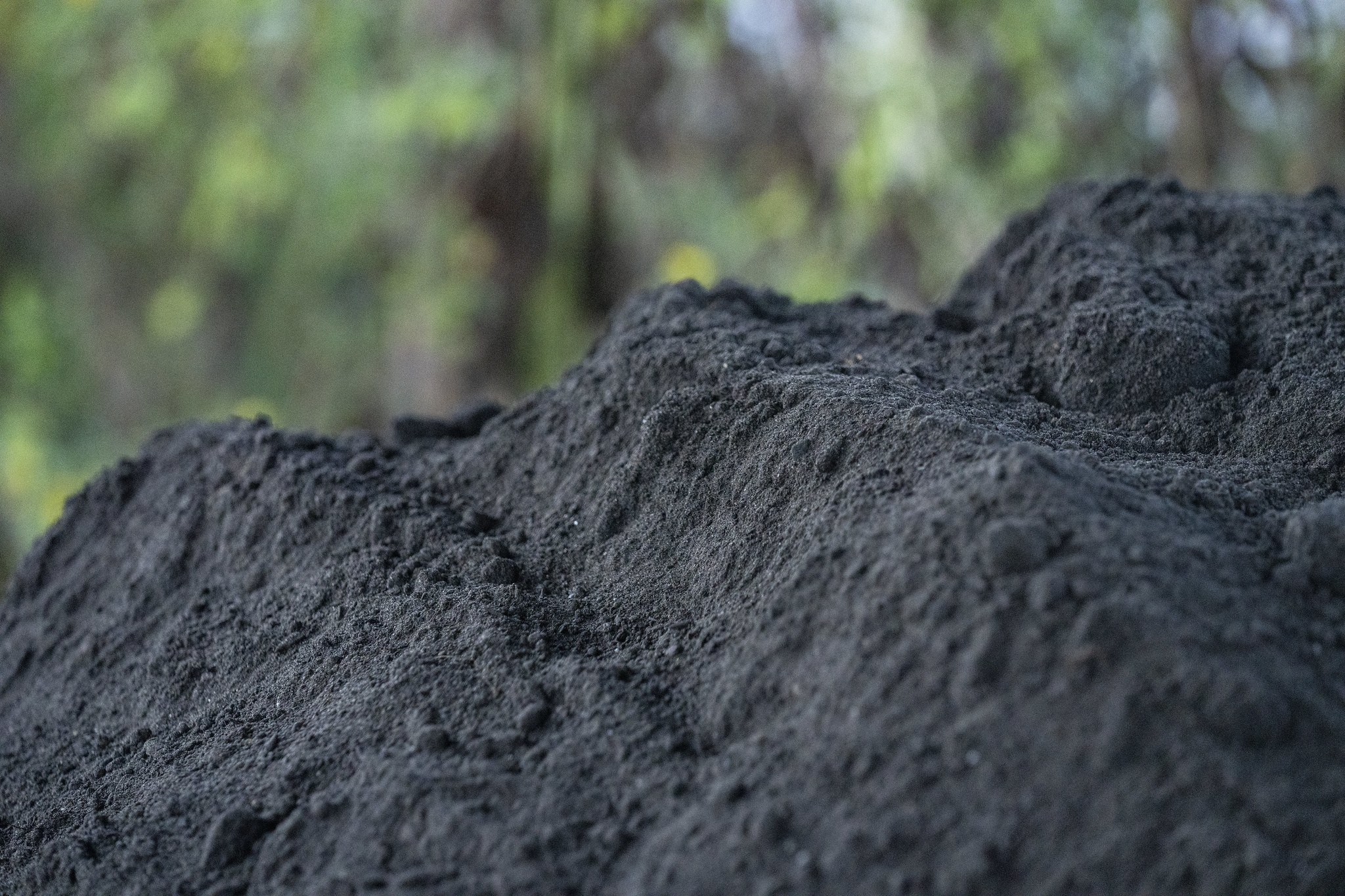 Picture of a pile of fine compost.