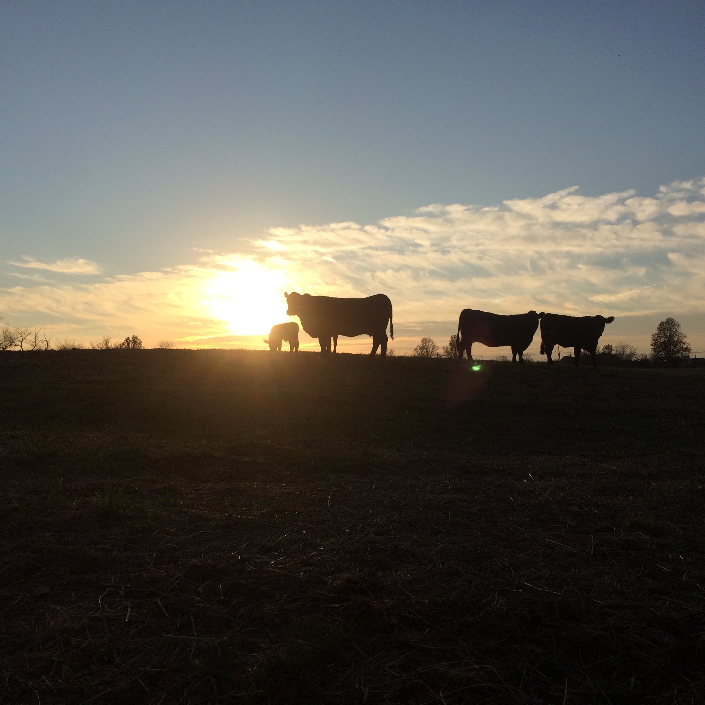 New Jersey Agricultural Climate Summit Report