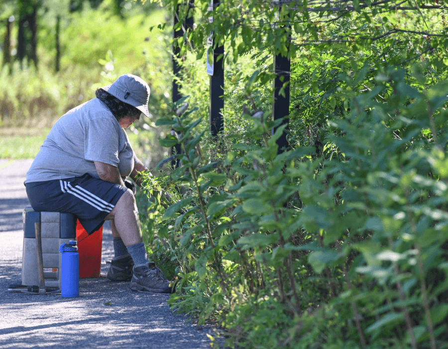 Picture of a volunteer sitting on a roadside and tending to plants.