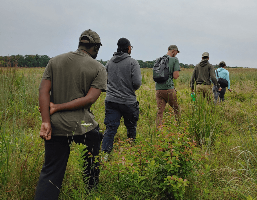 Picture of Duke Farms staff walking through a meadow on a cloudy day.