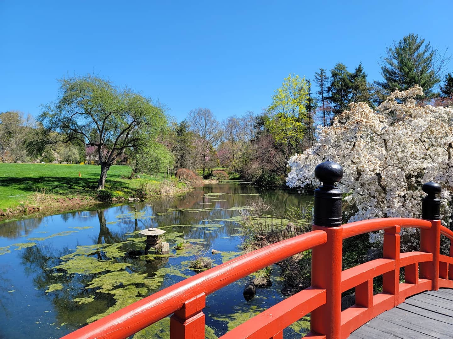 Meditation Garden