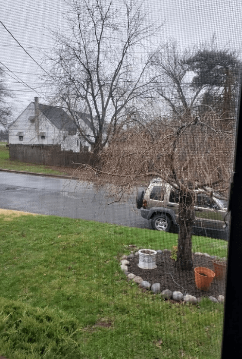picture of front yard as seen through a window and window screen