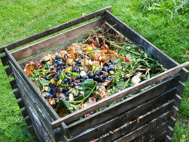 An Experiment in At-Home Composting: Part 1