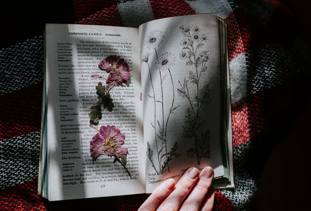 Preserving and Pressing Flowers