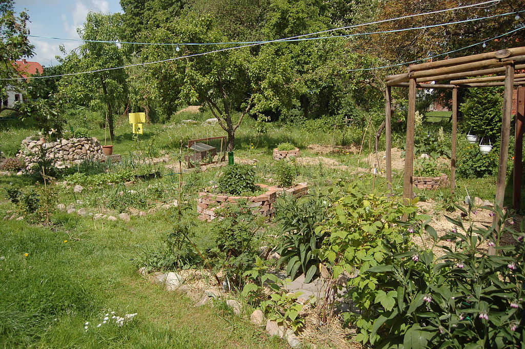 Sustainability September: Permaculture