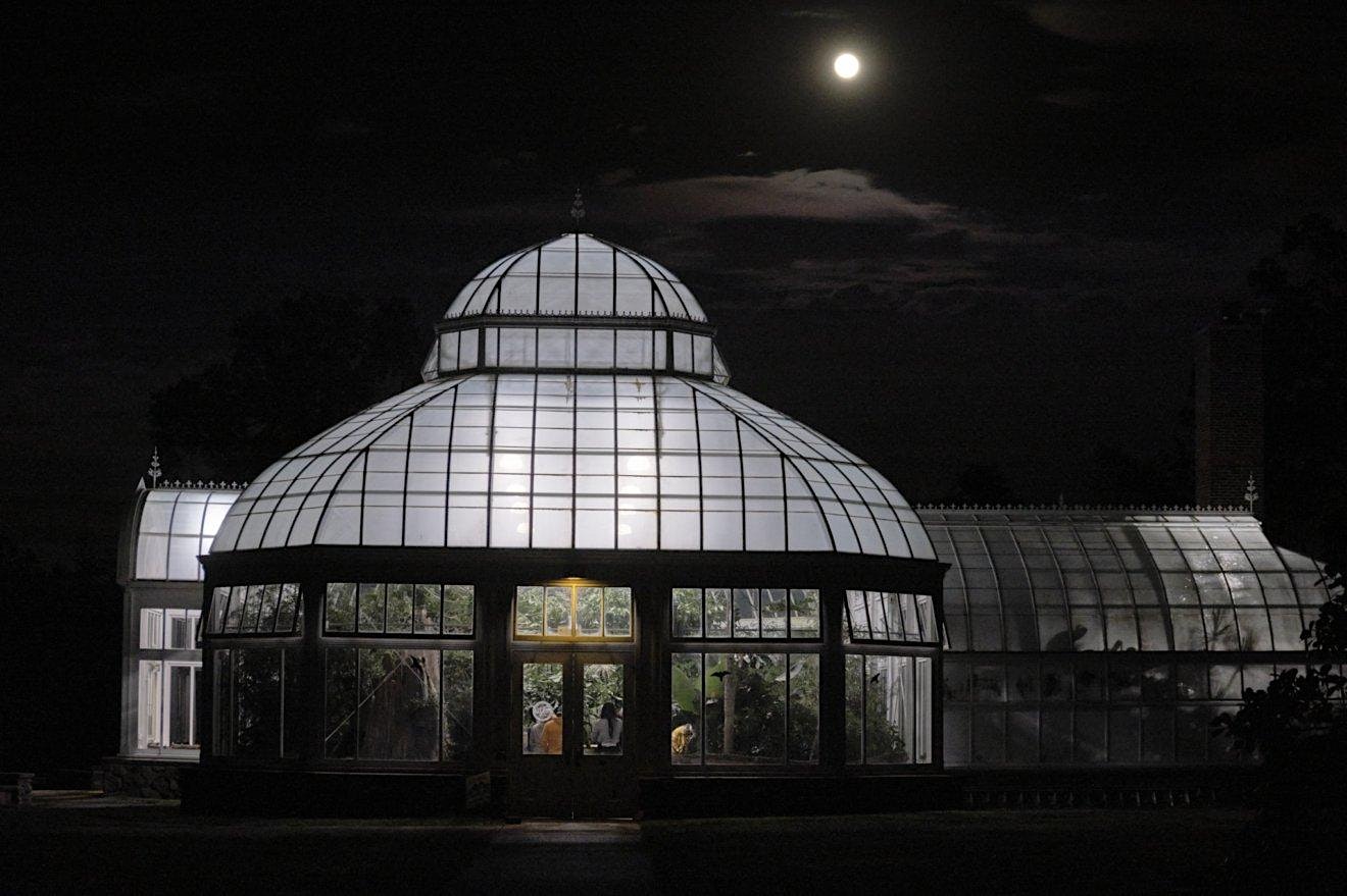 Duke Farms Orchid Range at night, beneath a full moon.