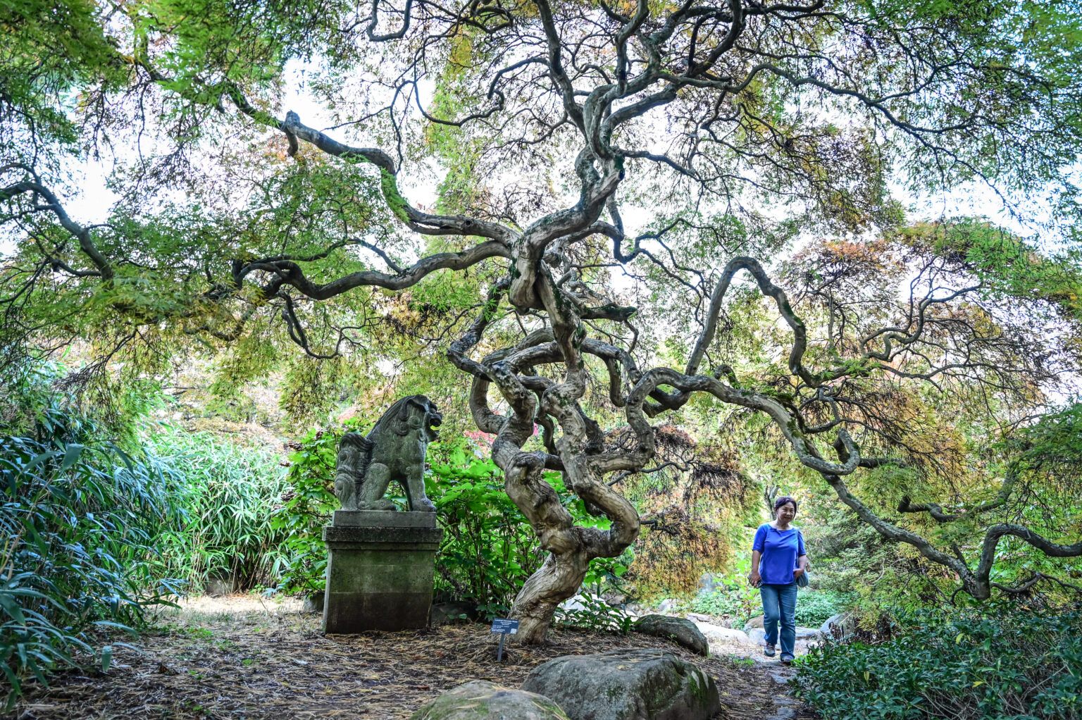 Nature Experiences - Duke Farms