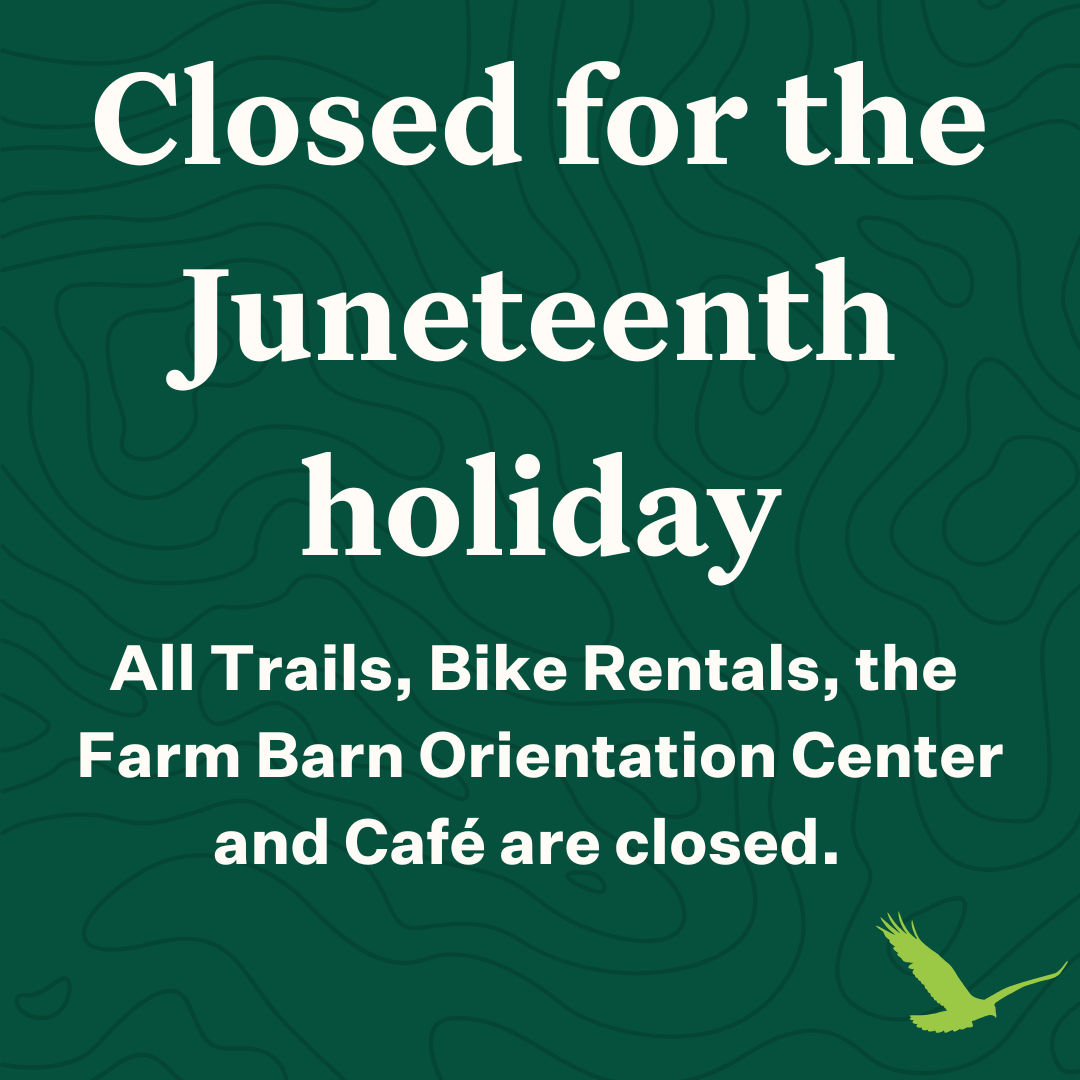 CLOSED in observance of Juneteenth