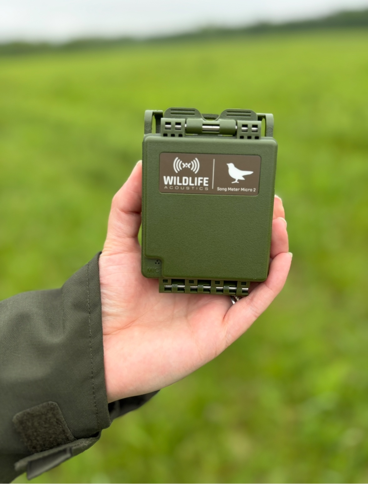 Listening to the Land: How Bioacoustics Monitoring at Duke Farms Helps Us Track Indicator Species 