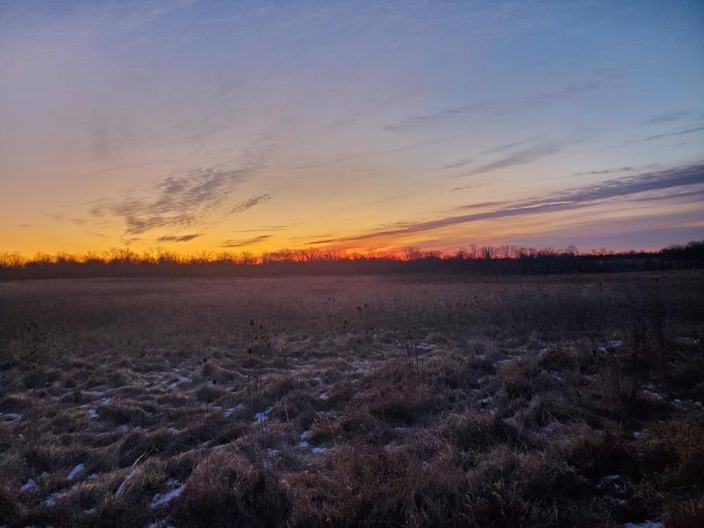 A winter farm field and the glow of sunrise in the sky overhead.