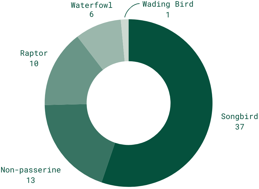 A donut chart shows how many bird species were observed in each of the following categories:
10 raptor,
6 waterfowl,
1 wading bird,
37 songbird,
and 13 passerine species
