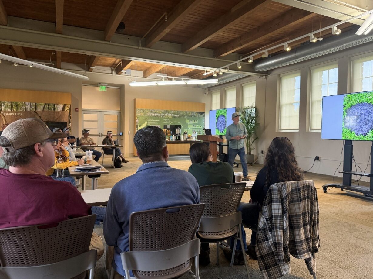 a group of students of various ages sit in a conference room watching a person give a presentation. 